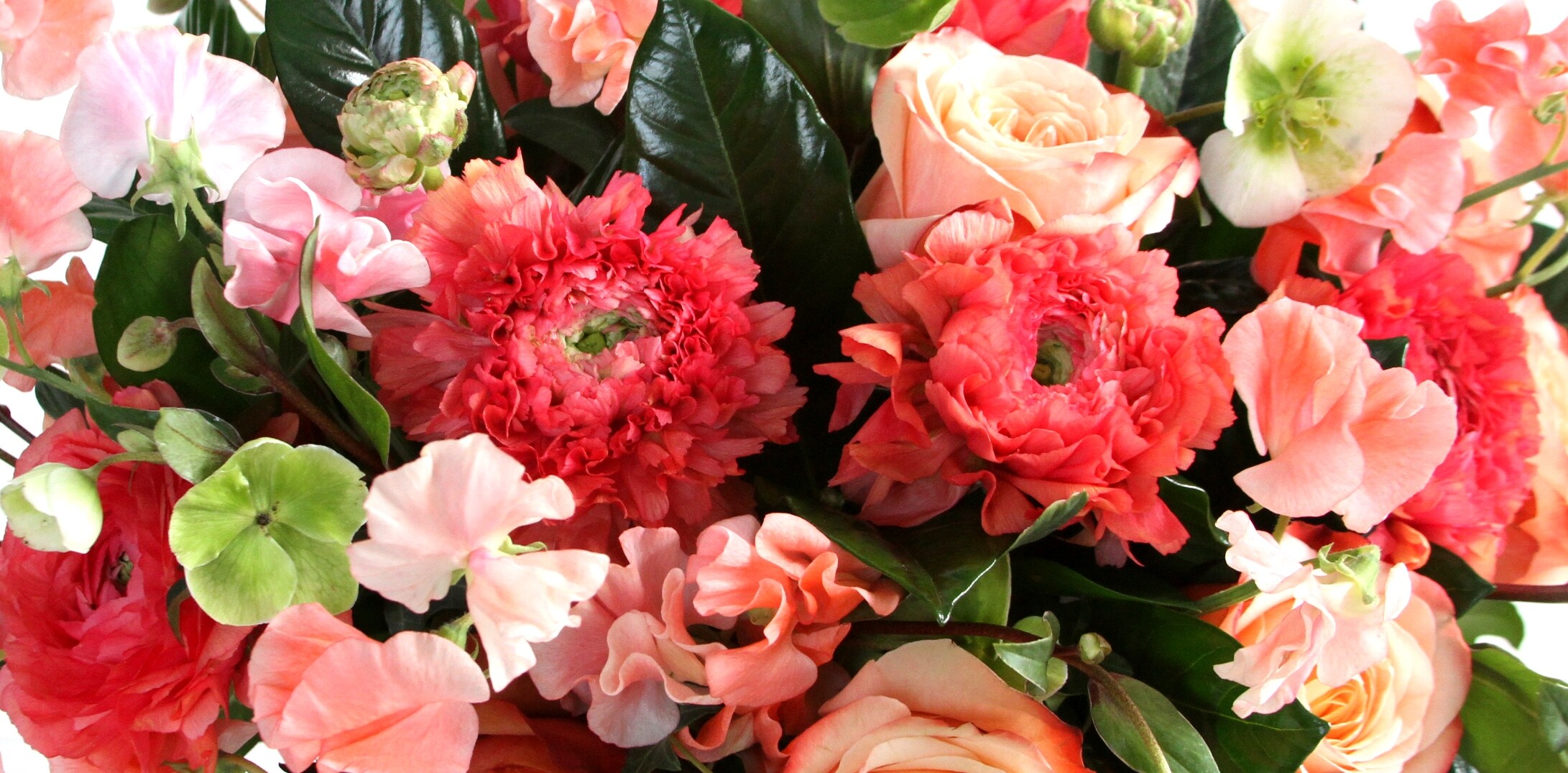 Boston & New York Florist with Nationwide Gift & Flower Delivery